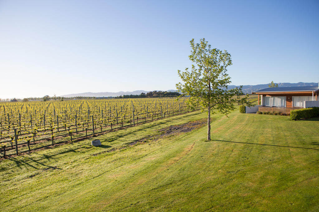 Marlborough Vintners Accommodation Blenheim Exterior foto