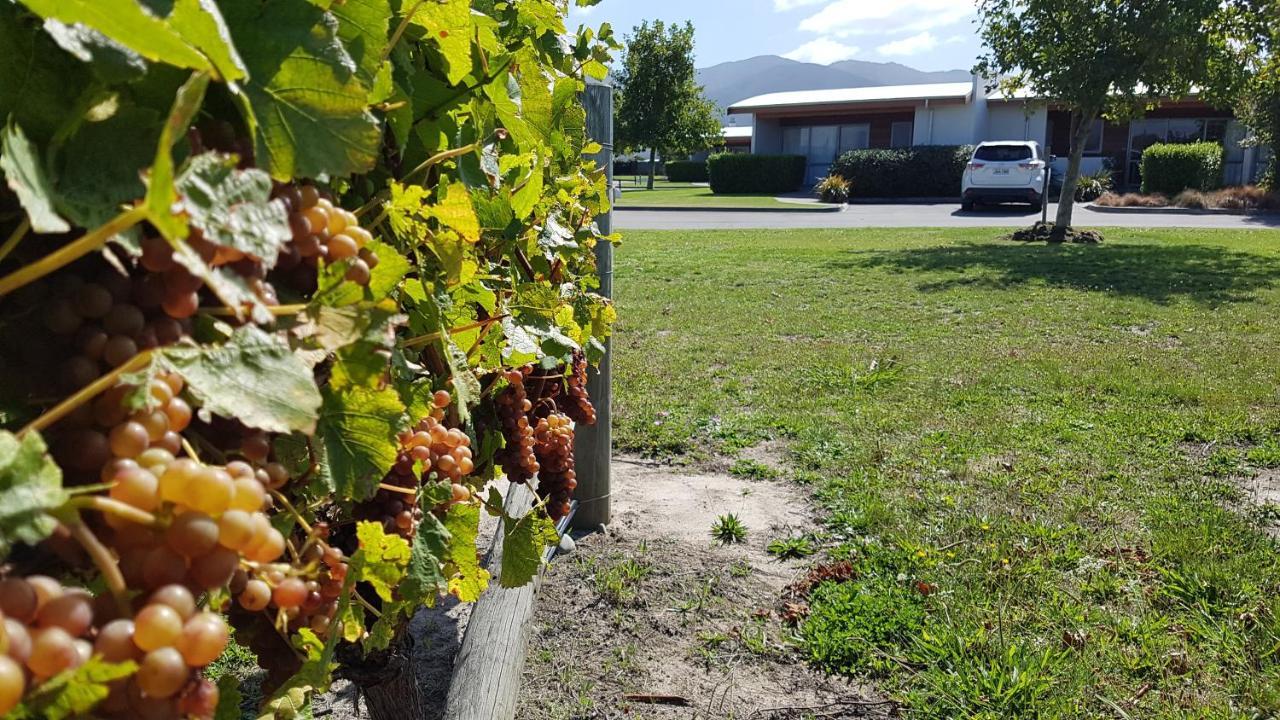 Marlborough Vintners Accommodation Blenheim Exterior foto